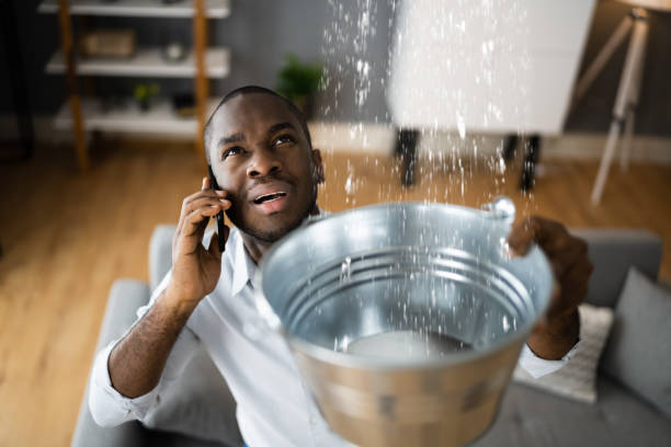 Best Flood damage cleanup  in Richmond, IN