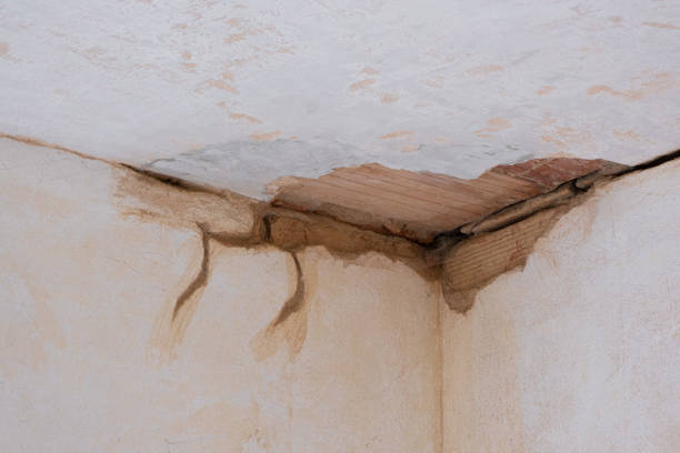 Best Ceiling water damage repair  in Richmond, IN