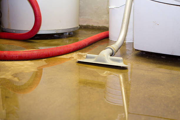 Best Emergency water damage restoration  in Richmond, IN