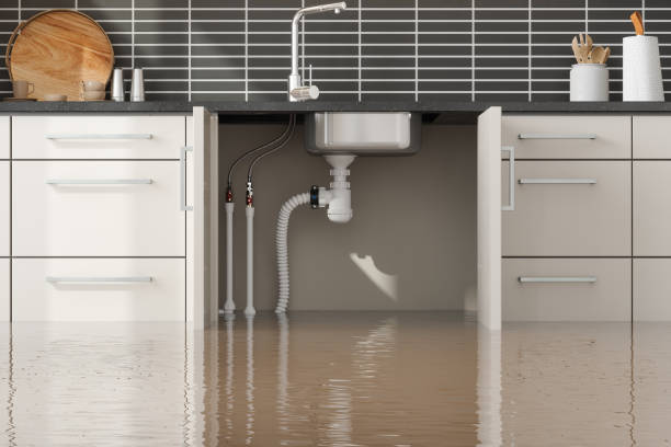 Best Sewage cleanup and water damage restoration  in Richmond, IN