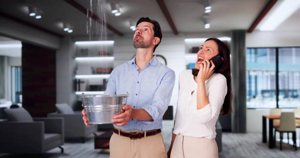 Best Water damage cleanup near me  in Richmond, IN